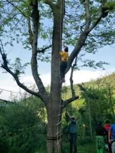 73b6f8fda62daa79bd3a23c945ec95f9