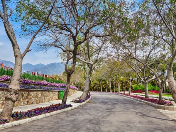 CBSE boarding school in Dehradun India