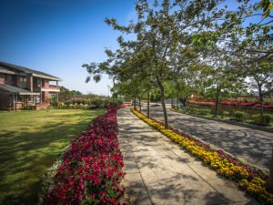 international boarding school in Dehradun