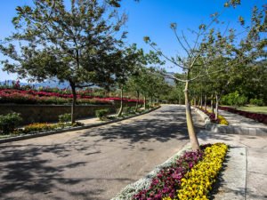 international boarding school in Dehradun