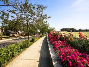 international boarding school in Dehradun