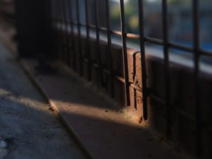 international school in dehradun India